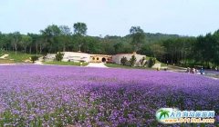 ���B��ʯ���Đ��u���ģ��Đ��u��ô�ߣ��Đ��u���@�а�܇�᣿