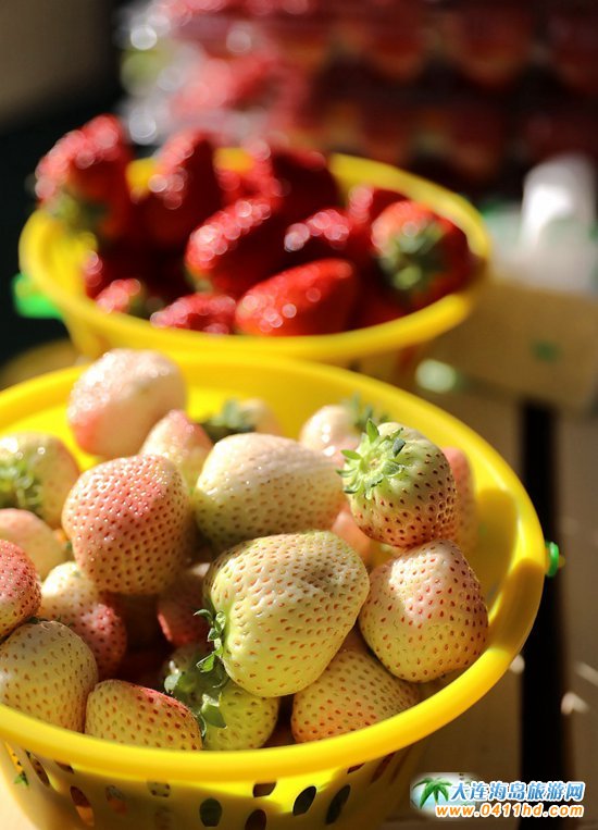 2018���B��ݮ�Ļ����ι�