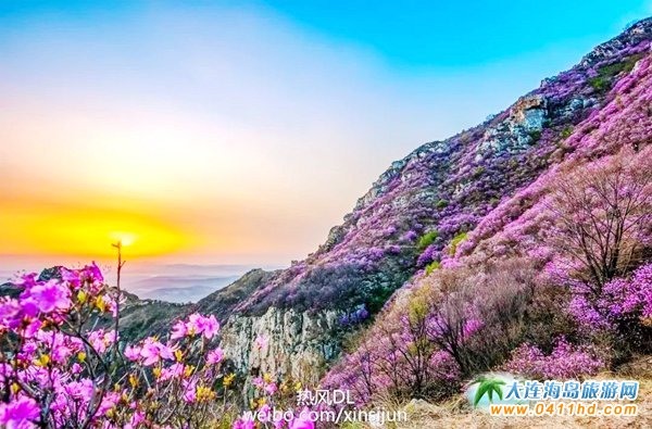 2018���ɽ���N���p������