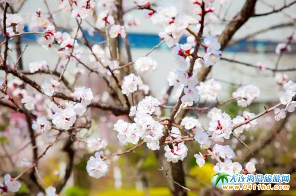 ���B��һ����