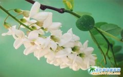 ����һ�껱�������҂�һ��ȥ�f�Ӱ�