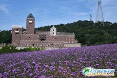 2018���﹝��ô�^�����﹝޹�²��f�@��ʲô����ģ�