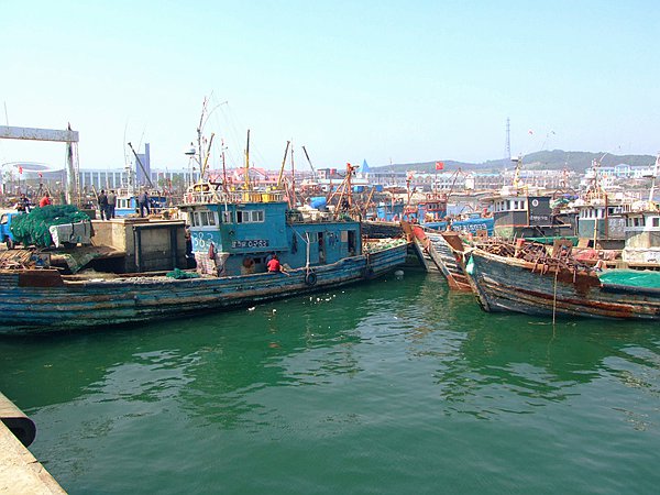 �V¹�u���ι���