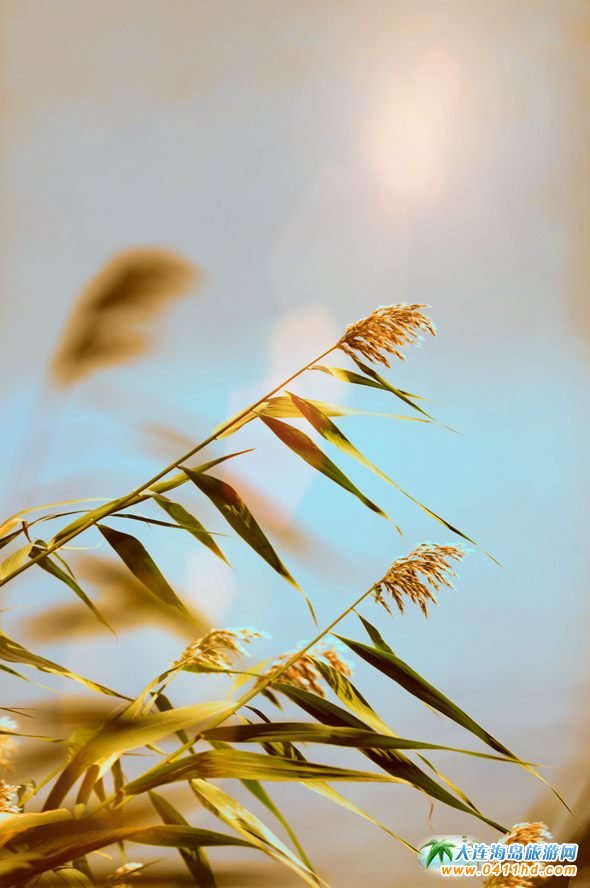 ���B�p���~