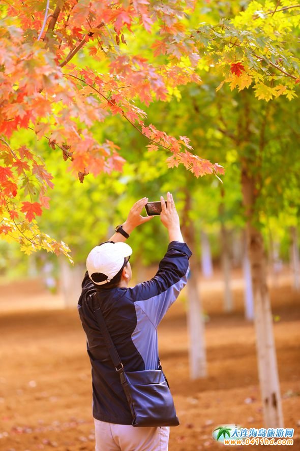 ���B�p���~