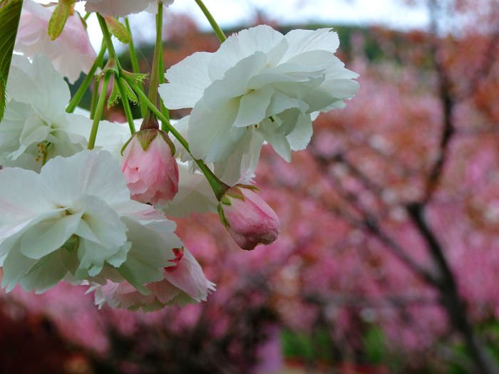 2021���B����혣��ѻ���(ji��)