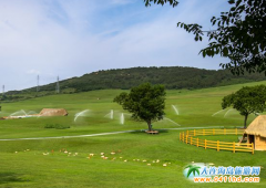 �������-���쎧���ӌ���������ϴ����Ұ�ͣ��������e��ĩ�r