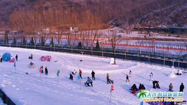 2023�´���ѩ�� �^��ѩ�x�񻨘Ӷ�