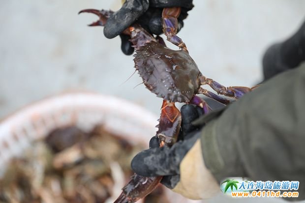 ���BΛρ�u��һ�Ì�Ұ֪���ɲ���