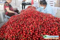 ����J֪�Ĵ��B��������l�Ј�