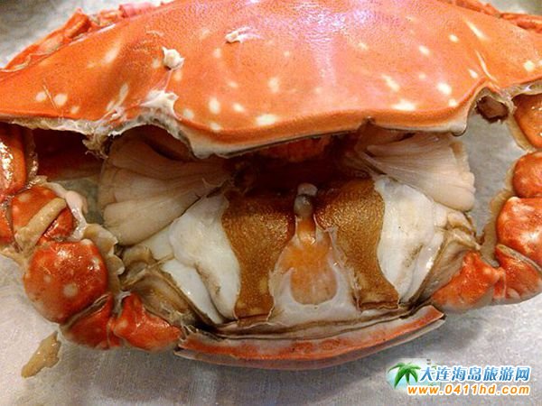 ���B���r�з