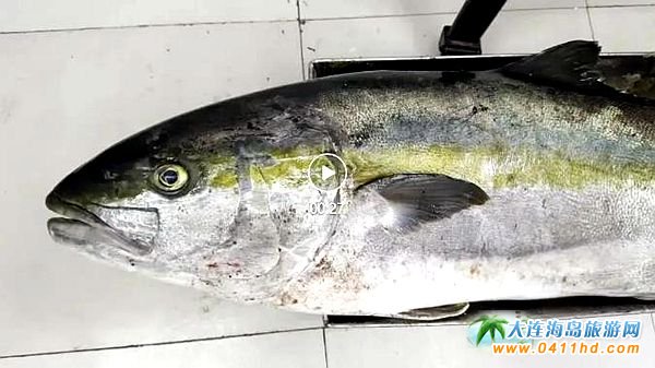 88.4�ﳬ���S�l������Ӎu�ܫ@