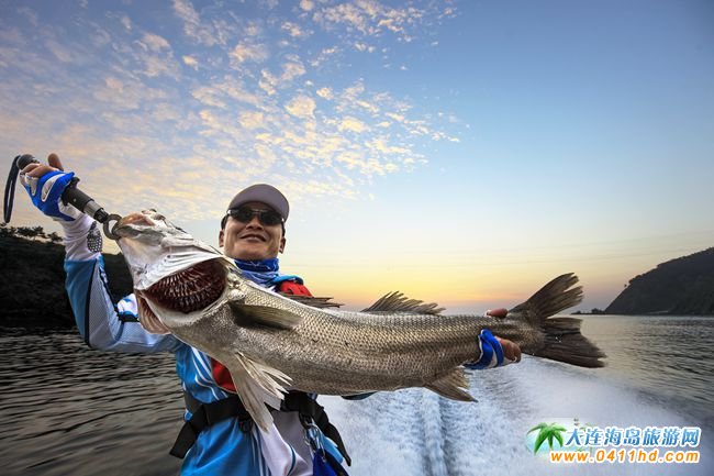 ���B���u����