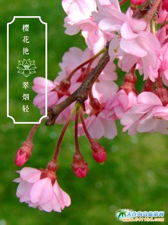 2025���B�ѻ��p������